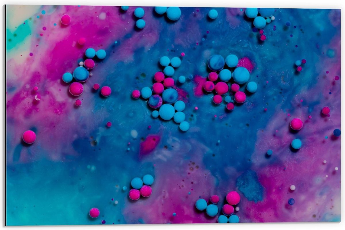 Dibond - Blauwe en Roze Verf Bolletjes - 60x40cm Foto op Aluminium (Met Ophangsysteem)