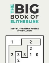 The Big Book of Slitherlink