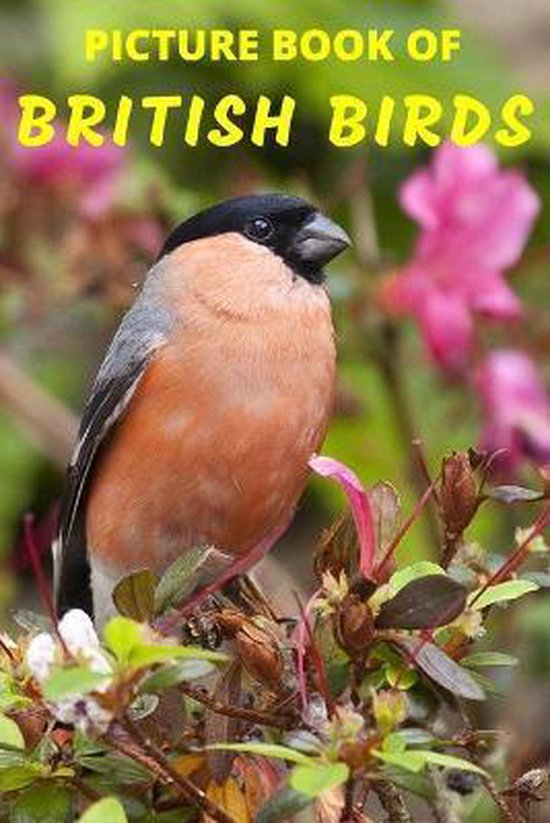 Dementia Books- Picture Book of British Birds - cover