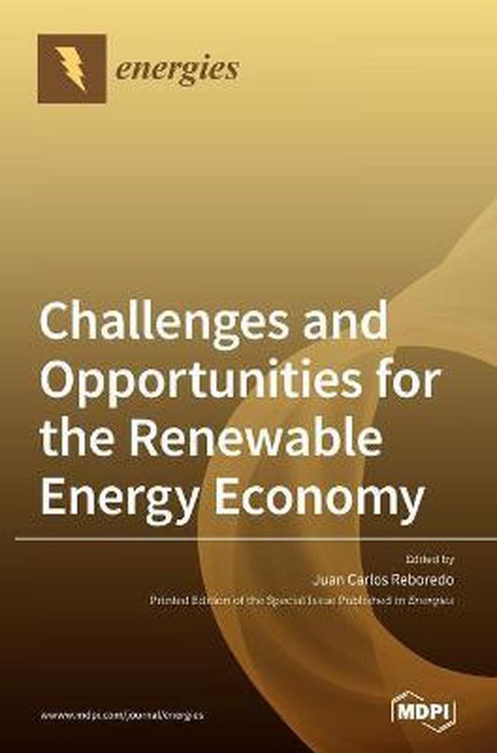 Challenges and Opportunities for the Renewable Energy Economy ...