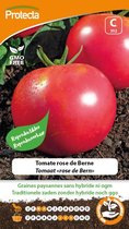 Protecta Groente zaden: Tomaat rose de Bern