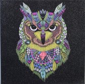 Glitter canvas uil multicolor 29 x 29 cm
