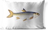 Buitenkussens - Tuin - Goud met grijze vis op een witte achtergrond - 50x30 cm