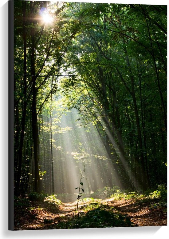 Canvas  - Zon Schijnend door Groen Bos - 60x90cm Foto op Canvas Schilderij (Wanddecoratie op Canvas)