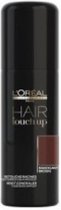 L'Oréal Paris (public) Hair Touch Up