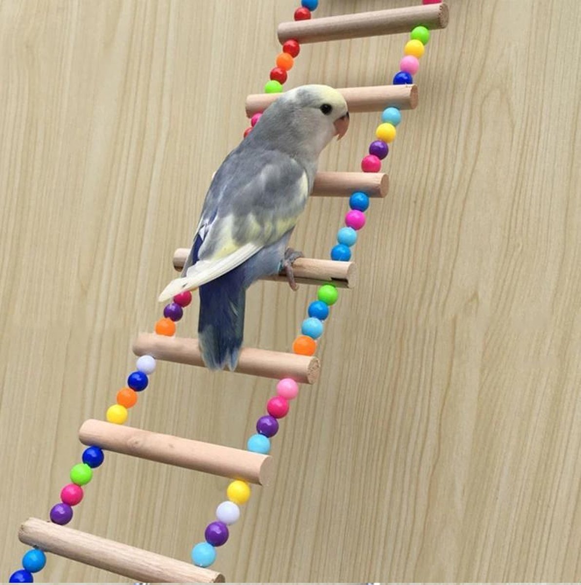 sympathie Bevriezen Humoristisch Vogel ladder/loopbrug | vogel Speelgoed | Huisdieren | vogel schommel  -vogel ladder... | bol.com