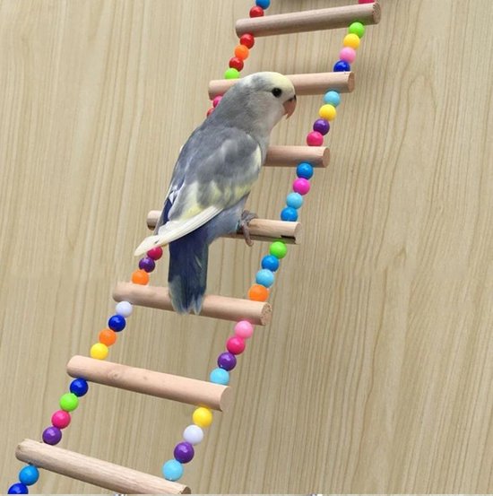 Vogel ladder/loopbrug | vogel Speelgoed | Huisdieren | vogel schommel ladder... | bol.com