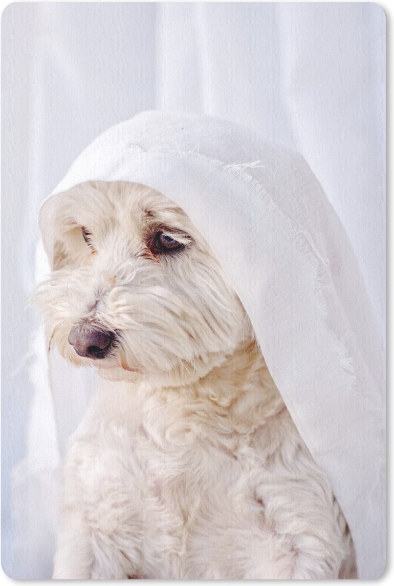 Muismat Maltezer - Een witte Maltezer hond kijkt uit een raam muismat rubber - 18x27 cm - Muismat met foto