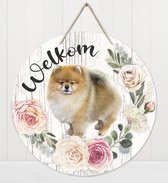 Welkom - Keeshond Dwerg | Muurdecoratie - Bordje Hond