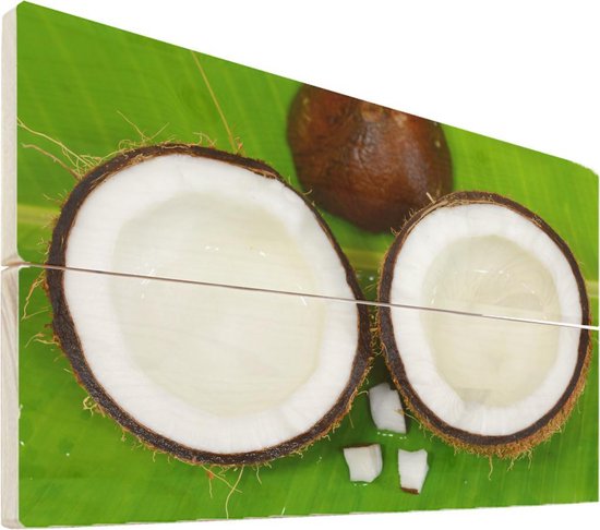Lunch Cerebrum routine Kokosnoot op hout - 30x20 - Verse kokosnoot helften op een groene tropisch  blad... | bol.com