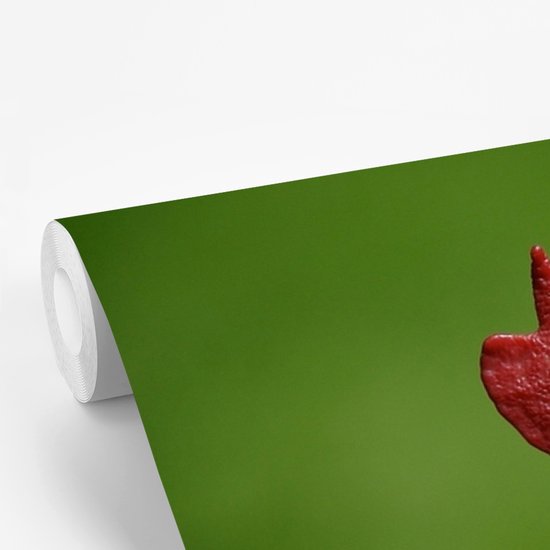 Papier peint photo vinyle - Mohawk rouge d'un coq dans la nature largeur 375 cm x hauteur 300 cm - Tirage photo sur papier peint (disponible en 7 tailles)