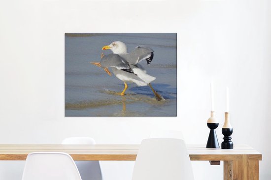 Une image d'un goéland argenté attrapant une étoile de mer Toile 80x60 cm - Tirage photo sur toile (Décoration murale salon / chambre)