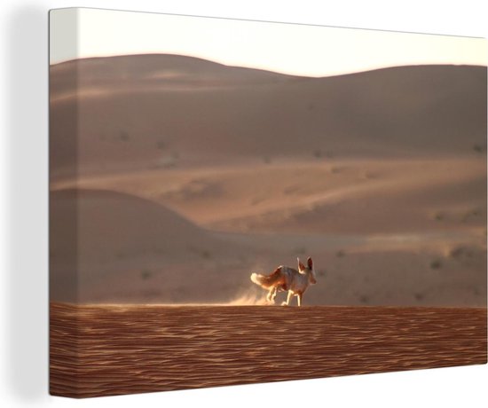 Un renard du désert se promène dans le désert Toile 30x20 cm - petit - Tirage photo sur toile (Décoration murale salon / chambre) / Animaux sauvages Peintures sur toile