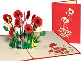 Popcards cartes popup – Carte anniversaire Fleurs Roses Coquelicots Coquelicot Amitié Félicitations Bon rétablissement Carte pop-up confort Carte de voeux 3D