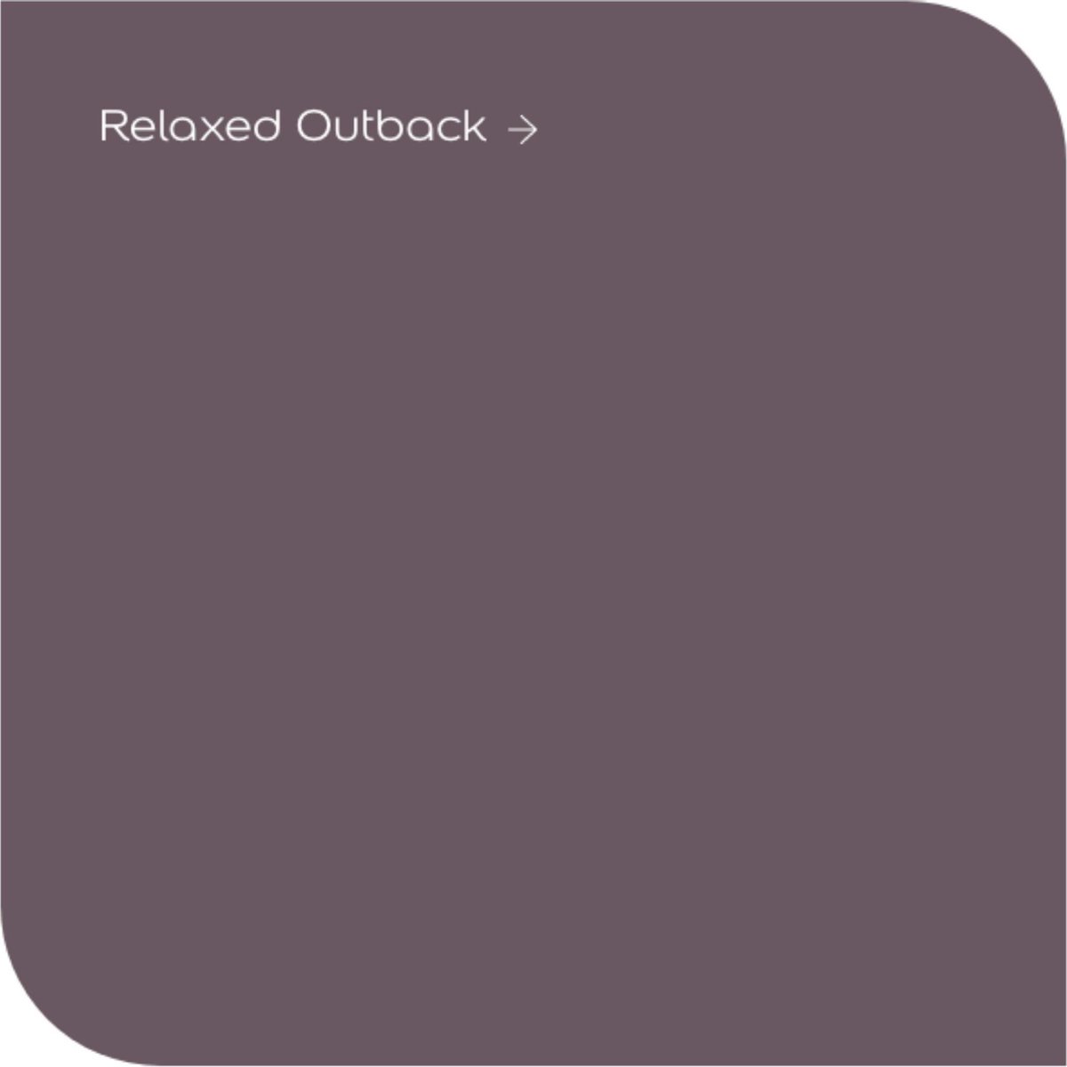 Levis Colores del Mundo Muur- & Plafondverf - Relaxed Outback - Mat - 2,5 liter – foto 2