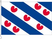 Friese vlag Friesland 30 x 45cm