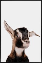 JUNIQE - Poster met kunststof lijst Goat -13x18 /Bruin & Wit