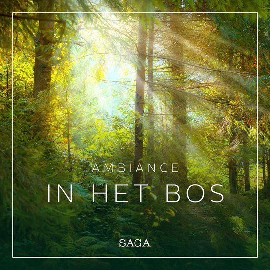 Ambiance - In het Bos - cover