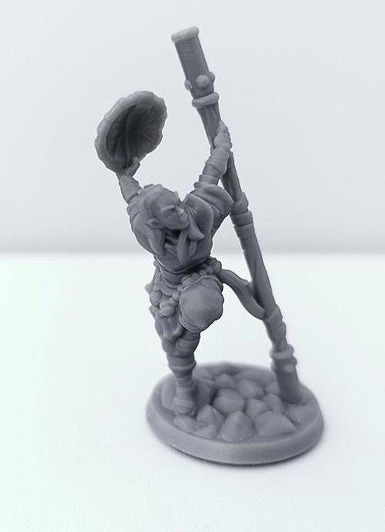 Thumbnail van een extra afbeelding van het spel 3D Printed Miniature - Monk Female 01 - Dungeons & Dragons - Hero of the Realm KS