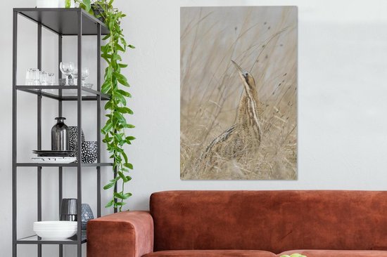 Un butor parmi les hautes herbes Toile 90x140 cm - Tirage photo sur toile (Décoration murale salon / chambre)