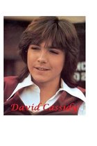 David Cassidy