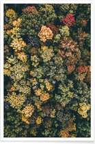 JUNIQE - Poster Herfstbomen - luchtfotografie -30x45 /Geel & Groen