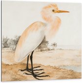 Dibond - Getekende Vogel in de Natuur - 100x100cm Foto op Aluminium (Wanddecoratie van metaal)