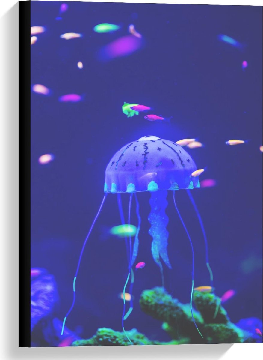 Canvas  - Blauwe Kwal in Aquarium - 40x60cm Foto op Canvas Schilderij (Wanddecoratie op Canvas)