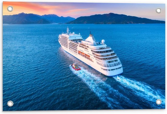 Tuinposter – Groot Cruiseschip varend naar Eiland - 60x40cm Foto op Tuinposter  (wanddecoratie voor buiten en binnen)