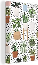 Illustration de différentes plantes sur fond blanc à pois noirs 20x30 cm - petit - Tirage photo sur toile (Décoration murale salon / chambre)