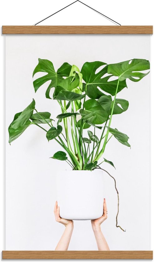 Schoolplaat – Witte Plantenpot op Handen - 40x60cm Foto op Textielposter (Wanddecoratie op Schoolplaat)