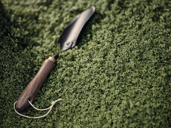 Barebones Spade - Schepje - Walnoot van Barebones — afbeelding 5