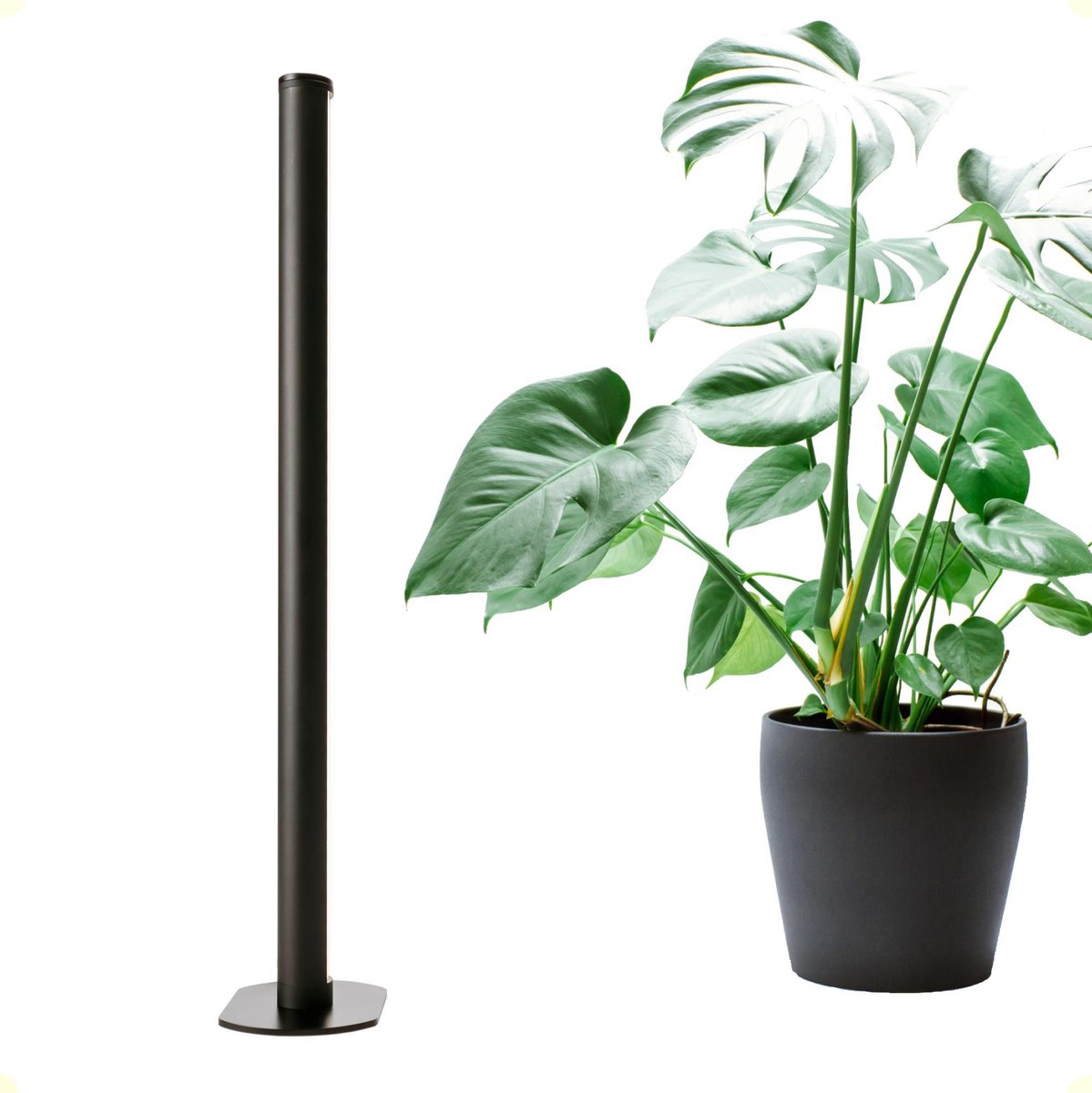 Groeilamp kopen: zo kies beste lamp voor je planten