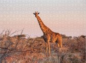 Giraffe in Afrika - Lastige Legpuzzel 500 stukjes | Safari - Natuur Wild - Giraffe Puzzel - Dier puzzel