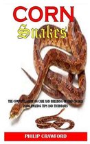 Corn Snake