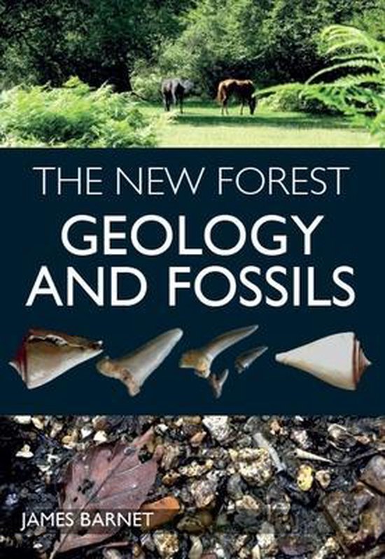 The New Forest - cover