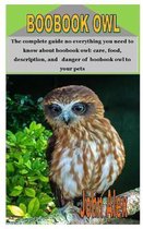 Boobook Owl: The complete guide no everything you need to know about boobook owl