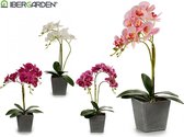 Decoratieve Bloemen Orchidee Plastic Bloempot Grijs (18 x 53 x 28 cm)