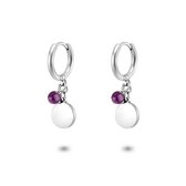 Twice As Nice Oorbellen in edelstaal, rond hangerte en amethyst