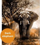 Schilderenopnummers.com® - Schilderen op nummer volwassenen - Dark Elephant - 50x40 cm - Paint by numbers
