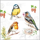 Ambiente - Servetten - 25 x 25 cm - Birds on Twig