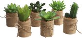 Mica Decorations - 6 Mini kunst Cactussen - Kunstplanten voor Binnen - Set van 6 Vetplantjes in Jutte Plantenzak - Vensterbank Decoratie  - Ø5 h.12 cm
