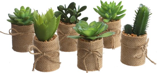 Mica Decorations - 6 Mini Cactus Artificiels - Plantes artificielles d'Intérieur - Set de 6 Plantes Succulentes dans un Sac de Plantes en Jute - Décoration de Rebord de Fenêtre - Ø5 h.12 cm