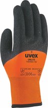 Uvex Unilite Thermo HD Handschoen maat 9