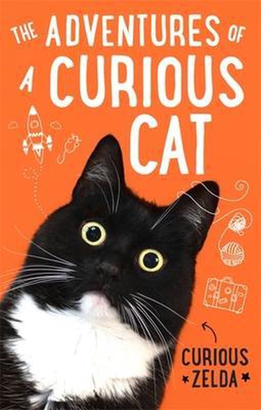The Adventures of a Curious Cat wit and wisdom from Curious  ... - cover