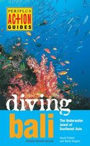 Diving Bali