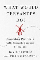 McGill-Queen's Iberian and Latin American Cultures Series2- What Would Cervantes Do?