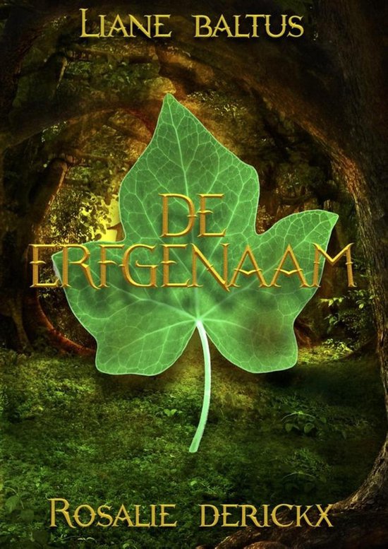 De erfgenaam - cover