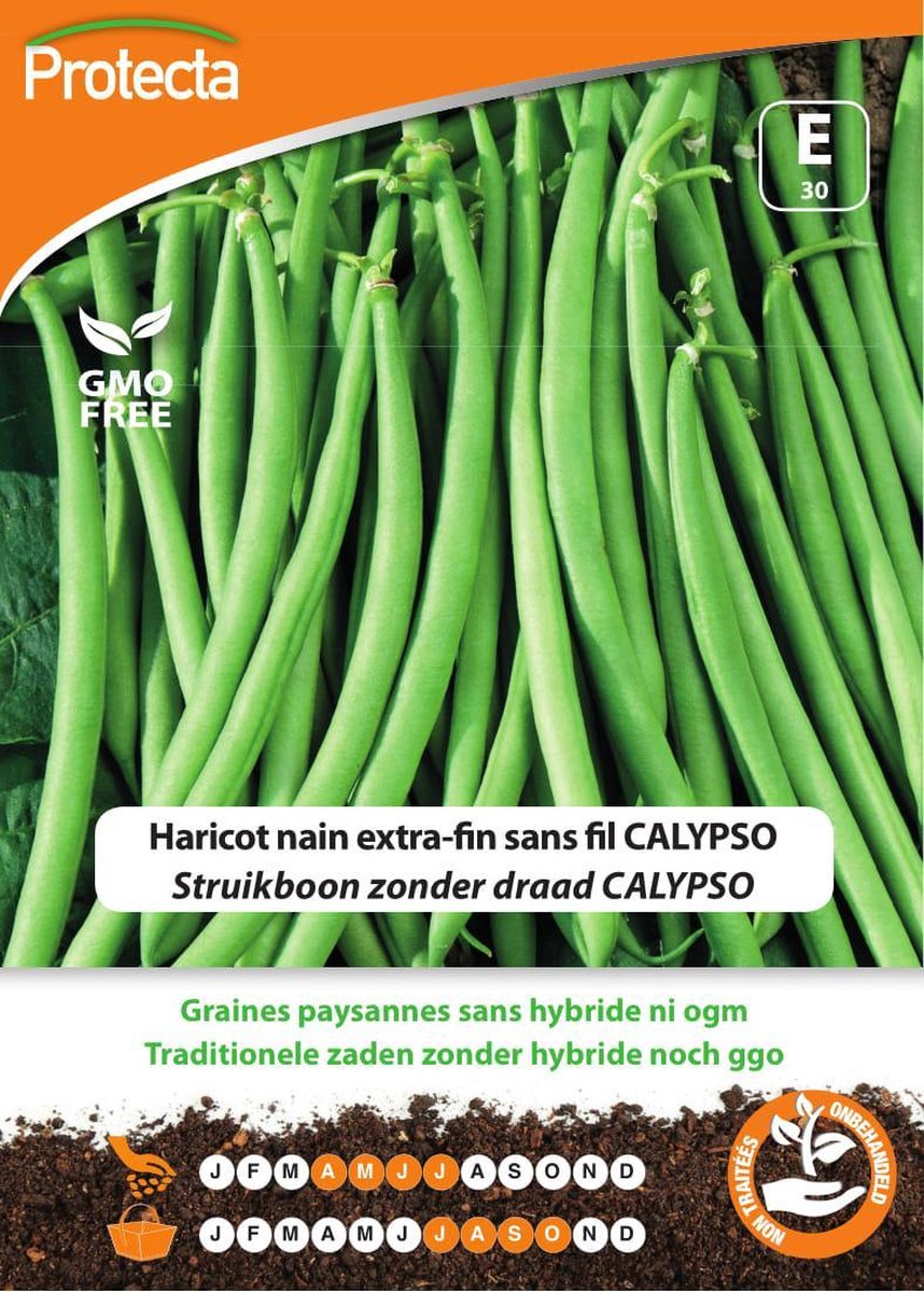 Protecta Groente zaden: Struikboon zonder draad CALYPSO