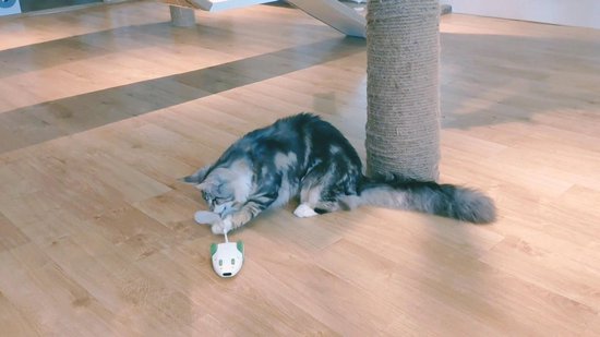 Petgeek Furious Mouse - kattenspeelgoed - muis - kattenspeeltjes intelligentie - catnip